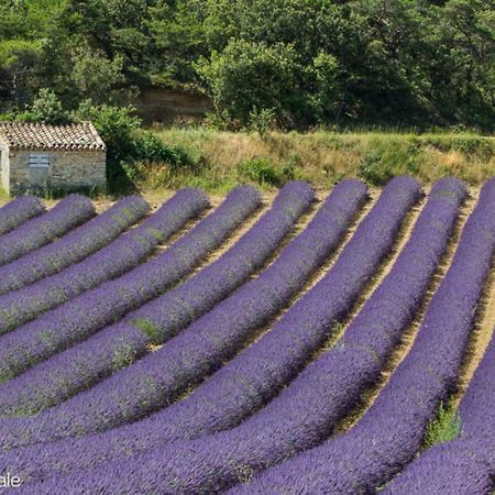 Gite Marius Mirabel-aux-Baronnies Exteriér fotografie