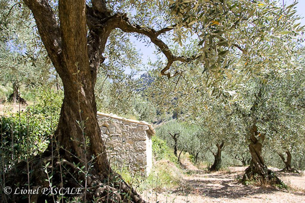 Gite Marius Mirabel-aux-Baronnies Exteriér fotografie