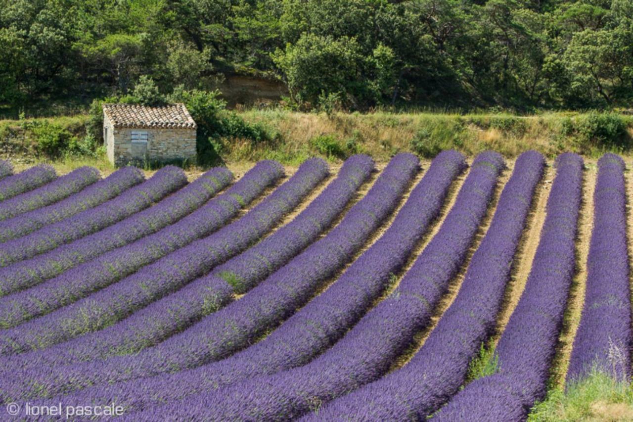 Gite Marius Mirabel-aux-Baronnies Exteriér fotografie